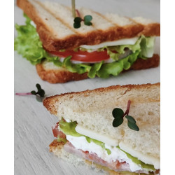 Ассорти "Мини-сендвичей» Ассорти "Мини-сендвичей»